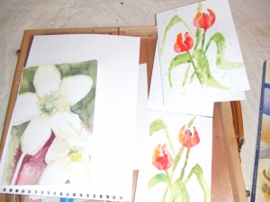 blog - katie's