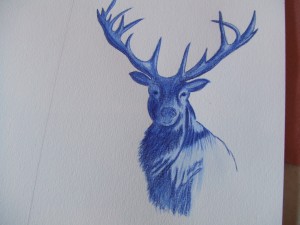 DSCF4541