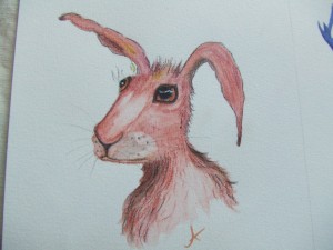 DSCF4557