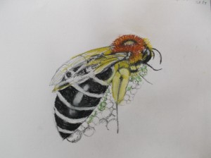 2015-08-26 23.03.49