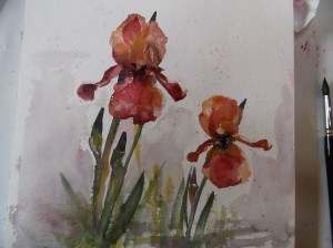 2016-05-11 23.20.22